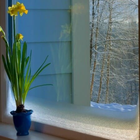 Kälteschutzfolie Fenster innen - selbstklebend